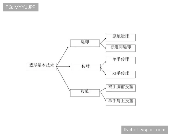 篮球规则解析：同时出界判定的具体标准与依据
