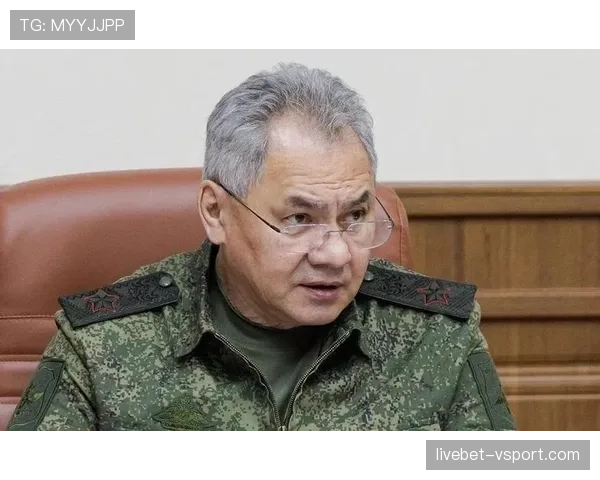 居莱尔身体对抗短板如何制约其战术适配性？